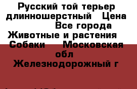 Русский той-терьер длинношерстный › Цена ­ 7 000 - Все города Животные и растения » Собаки   . Московская обл.,Железнодорожный г.